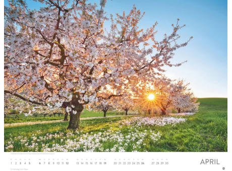 Sonnenzauber Posterkalender