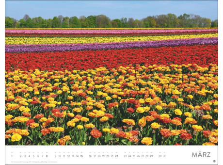 Blütenmeer Posterkalender