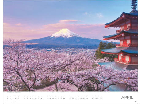 Blütenmeer Posterkalender