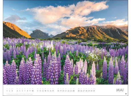 Blütenmeer Posterkalender