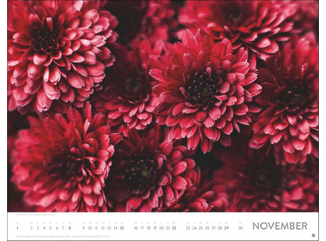 Blütenmeer Posterkalender