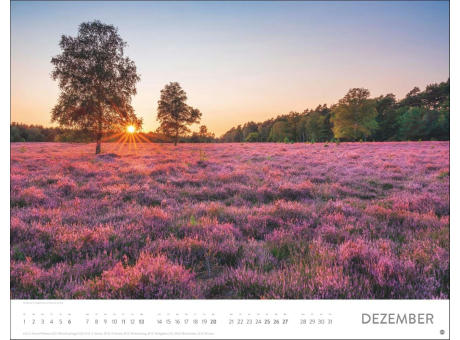 Blütenmeer Posterkalender