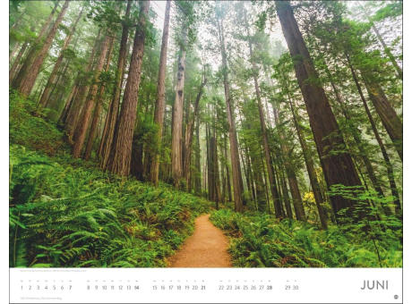 Orte der Kraft Posterkalender