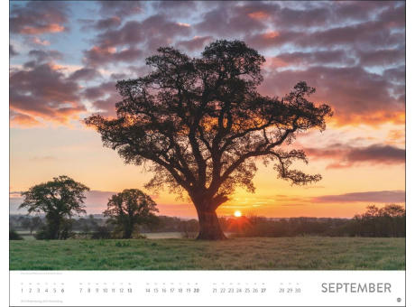 Orte der Kraft Posterkalender