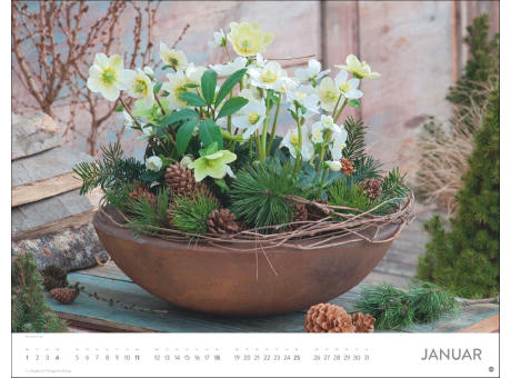 Blumenpracht Posterkalender