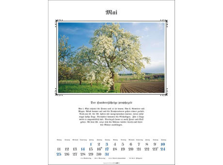 Der Hundertjährige Kalender