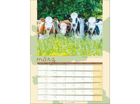 Kuh Kalender