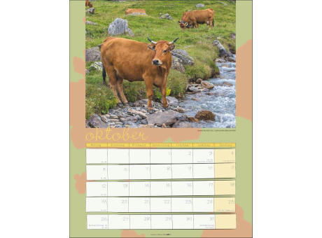 Kuh Kalender