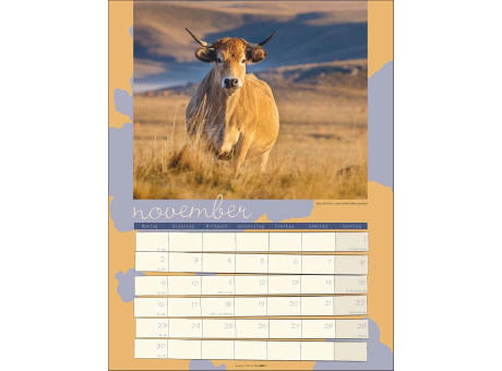 Kuh Kalender