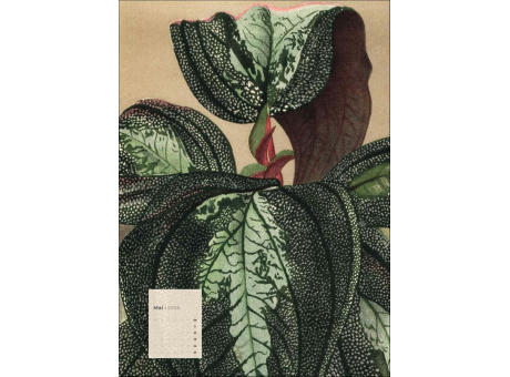 Botanicals