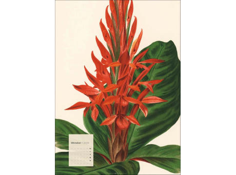 Botanicals