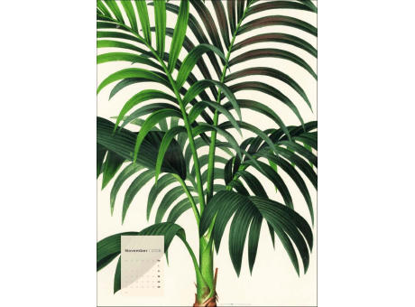 Botanicals