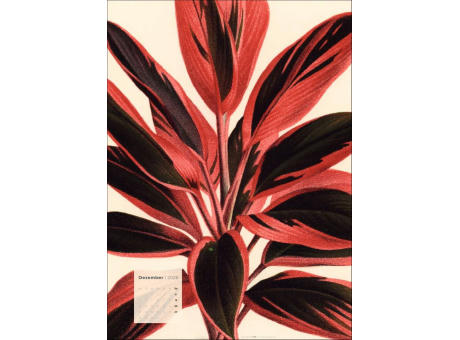 Botanicals