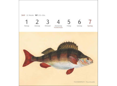 Fische Postkartenkalender