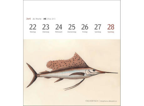 Fische Postkartenkalender