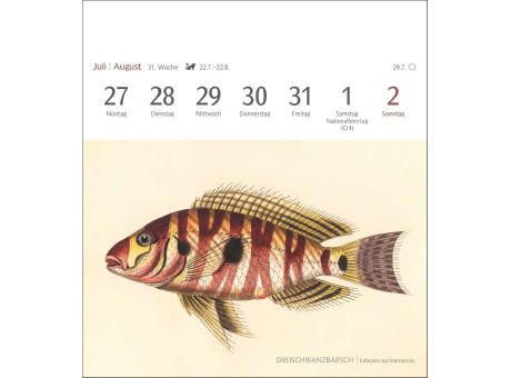 Fische Postkartenkalender