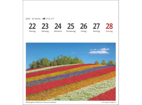 Japan Sehnsuchtskalender