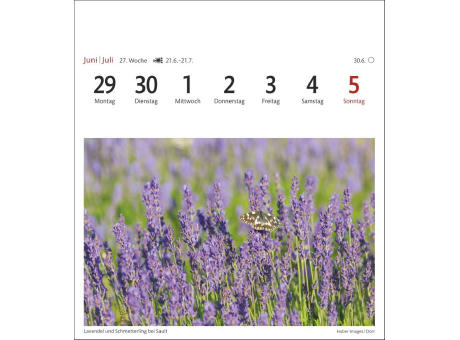 Provence Sehnsuchtskalender