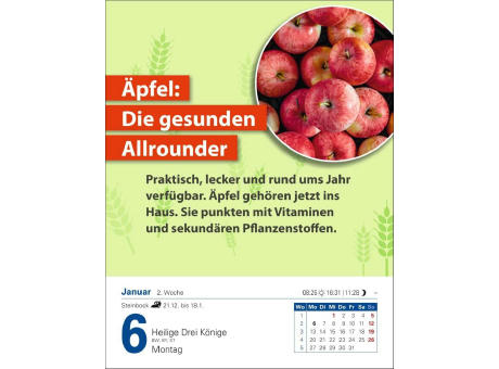 Die Ernährungs-Docs - Gesund durch das Jahr Tagesabreißkalender