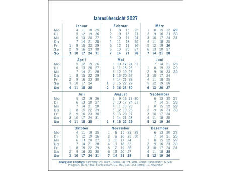 Dumme Sprüche für jeden Anlass Tagesabreißkalender