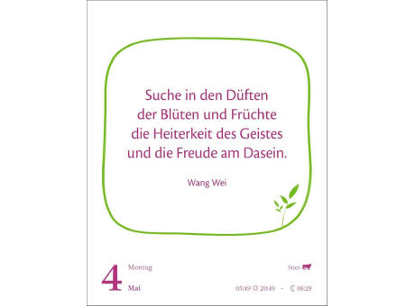 Heute ist dein Tag! Tagesabreißkalender