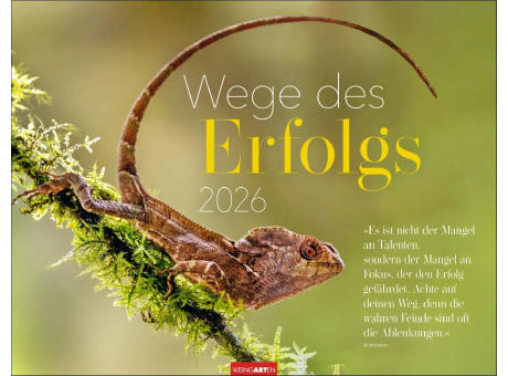 Wege des Erfolgs