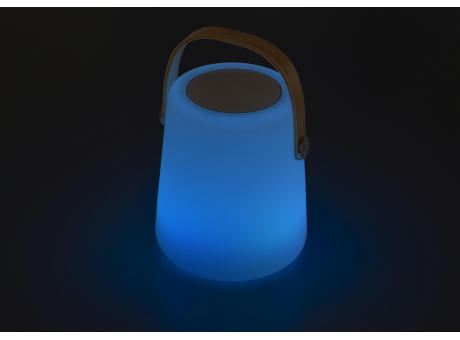 Plastic LED speaker