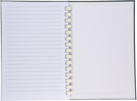 rPET-Notizbuch (A5) Ilias