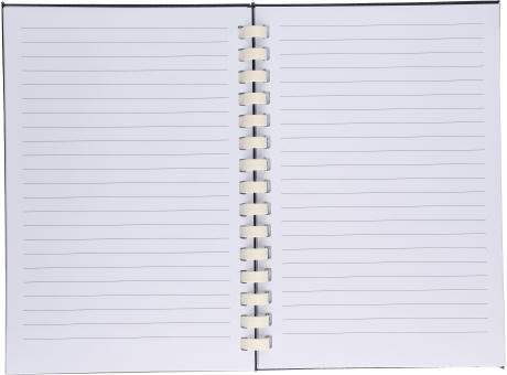 rPET-Notizbuch (A5) Ilias