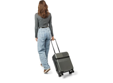 ABS Gepäckwagen Ulf