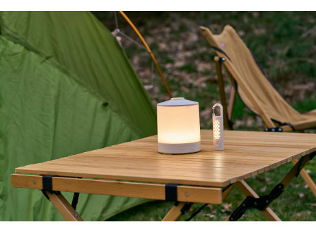 ABS-Multifunktionsleuchte Araminta