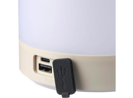 ABS-Multifunktionsleuchte Araminta