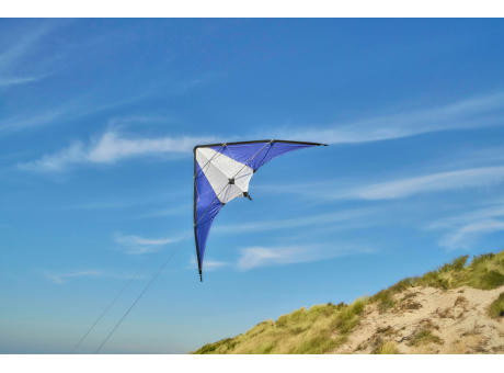 210T Polyester-Drachen Lirien