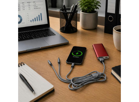 Ladekabel Felix | 4-in-1