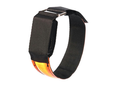 Sportband Strivo