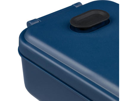 Lunchbox Ondine | 800 ml