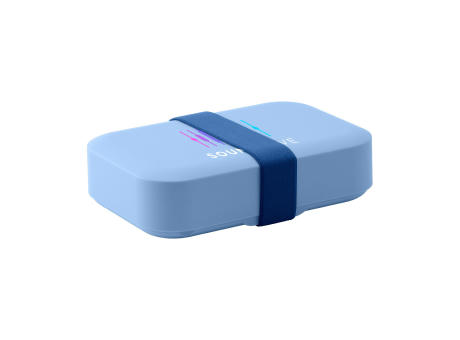 Day to Day Lunchbox Elastic | 750 ml