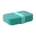 Day to Day Lunchbox Elastic | 1,1 l
