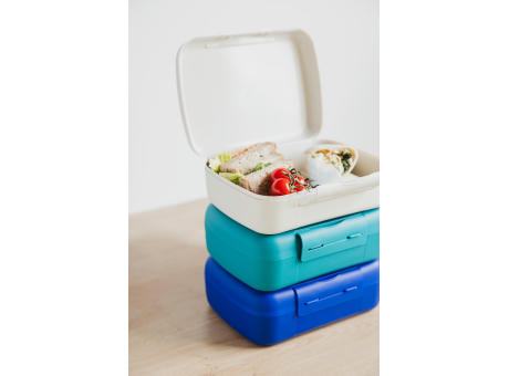 Day to Day Lunchbox Brunchbox | 1,4 l