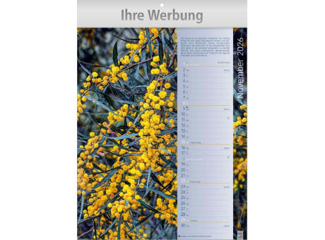 Erlebnis-Welt der Düfte