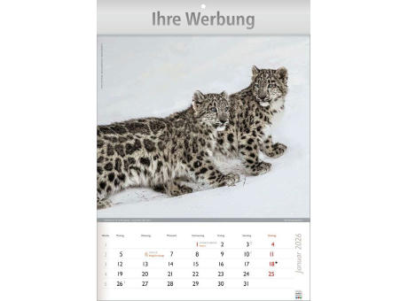 Wunderbare Tiere
