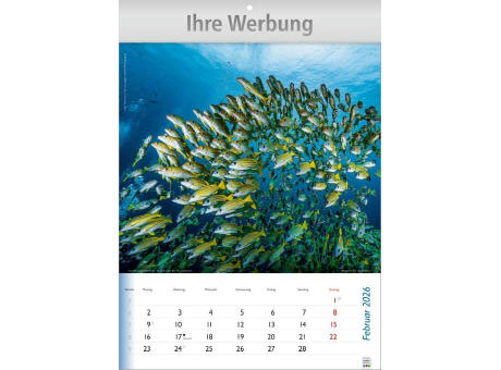Wunderbare Tiere