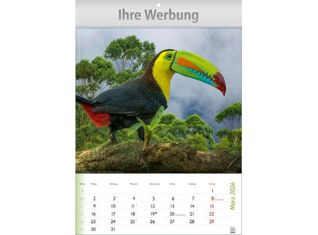 Wunderbare Tiere