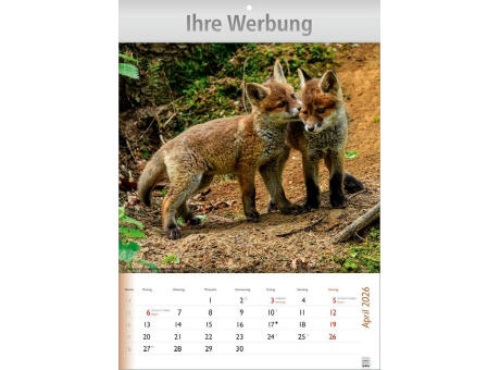 Wunderbare Tiere