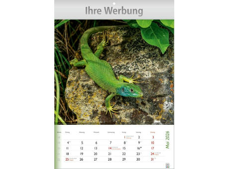 Wunderbare Tiere