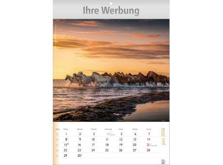 Wunderbare Tiere
