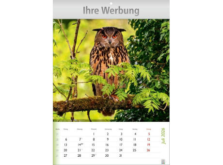 Wunderbare Tiere