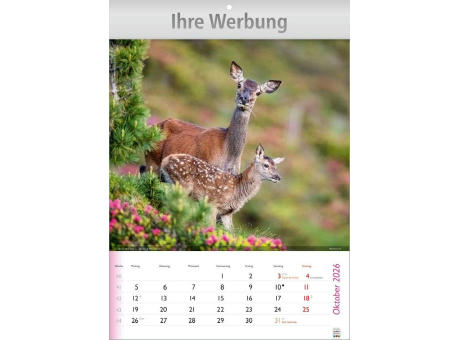 Wunderbare Tiere