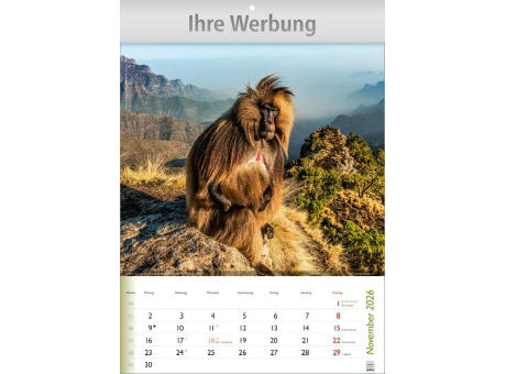 Wunderbare Tiere