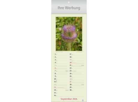 Gesund durch Heilkräuter
